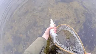 Winter Lure Fishing | Sea Trout | UK