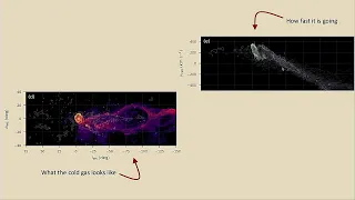 The Magellanic Stream: A Case Study in Interacting Galaxies