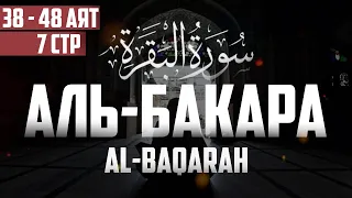 Cура аль Бакара 38 - 48 аят Абу Хабиба | Sourate al Baqarah | سورة البقرة