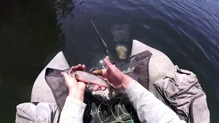 Float Tubing and Fly Fishing in Early May