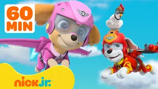 PAW Patrol Skye's Helicopter Rescues! w/ Marshall, Chase & Marshall | 1 Hour Compilation | Nick Jr.