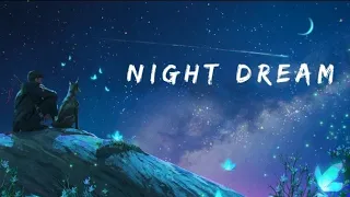 NIGHT DREAM||ROMANTIC DRIVE||LOFI SONGS||BOLLYWOOD MASHUP SONGS#lofi #music #bollywood