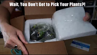 A BEGINNER Plant Pack? - Unboxing and Planting 10 Surprise Aquatic Plants  🌱🙌