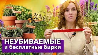 ЧУДО-БИРКИ ДЛЯ РАСТЕНИЙ: ДЕЛАЮ САМА ЗА ПАРУ СЕКУНД! Теперь всегда знаю, где и что растет