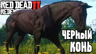 100% Черный конь! ➤ Прохождение #17 ➤RED DEAD REDEMPTION 2