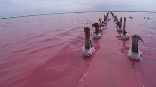 Розовое озеро Сасык Сиваш Евпатория 2021. Одно из самых красивых мест в Крыму. СОЛЬ и ЛЕЧЕБНЫЕ грязи