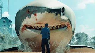 shark attack A short film