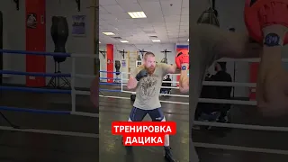 Как бьет Дацик / Тренировка перед боем с Тернером