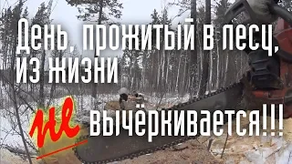 День, прожитый в лесу, из жизни не вычёркивается!