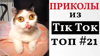 НОВЫЕ ПРИКОЛЫ ИЗ ТИК ТОК 2021 😎 ЛУЧШАЯ ПОДБОРКА ТИК ТОК 😎 ЛУЧШИЕ ПРИКОЛЫ 2021 😎 #21 Top TikTok 2021