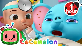 Sick Song (Animal Edition) + More CoComelon Animal Time | Animals for Kids | Nursery Rhymes