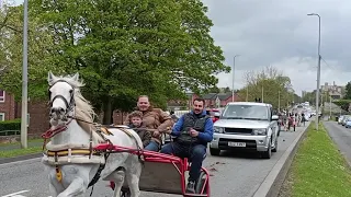 HORSE DRIVE, LINCOLN 2024
