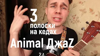 Animal ДжаZ - Три полоски | разбор на укулеле