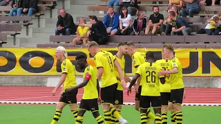 Steffen Tigges Goal - BVB 09 II (2) : (0) Fortuna Düsseldorf II - 01.09.2019 - Stadion Rote Erde