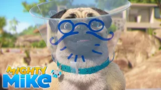 MIGHTY MIKE 🐶 Conetips - A pug's life in 60sec