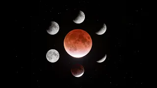 Beaver Moon Partial Lunar Eclipse 4k