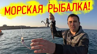 Морская рыбалка в Анапе! Пошли ставридка и бобырь!