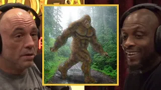 JRE: Is Bigfoot REAL?!