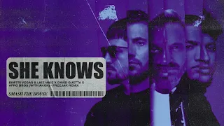 Dimitri Vegas & Like Mike x David Guetta x Afro Bros - She Knows [with Akon] [Freejak Remix]