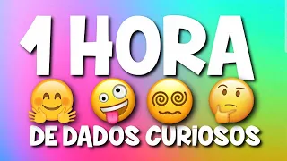 ESPECIAL - 1 HORA DE CURIOSIDADES