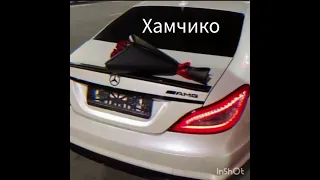 В ПУТИ КАЙФОВАЛ✌🏽😻☝🏽 новая песня 2023☝🏽☝🏽✌🏽🧿😻😻