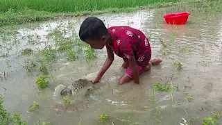 Hand Fishing | Amazing Boy Catching Big Fish By Hand in Pond Water