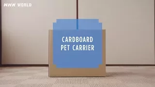 #23 Cardboard pet carrier - HOW TO CRAFT SAFETY