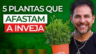 5 PLANTAS QUE AFASTAM INVEJA, ESPÍRITOS RUINS E ENERGIAS PESADAS / Daniel Atalla