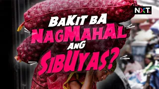 Bakit nga ba nagmahal ang sibuyas? | NXT