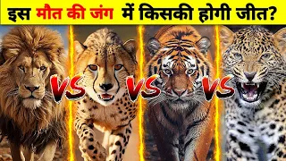 Lion Vs Cheetah Vs Tiger Vs Jaguar | क्या होगा जब भिड़ेंगे जंगल के सबसे खूंखार शिकारी