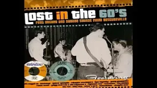 Various ‎– Lost In The 60's (Frat Rocker And Garage Sounds From Obscureville) Beat Mod Nuggets ALBUM