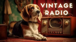 Relaxing vintage music playing on the radio, nostalgic tunes from long ago.