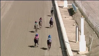 LAUREL PARK 02 25 2024 RACE 3