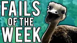 The Best Fails Of The Week June 2017 | Week 2 | Part 1 | A Fail Compilation By FailUnited