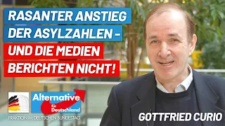 Asylzahlen steigen rasant, Medien berichten nicht! - Gottfried Curio - AfD-Fraktion im Bundestag