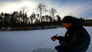 Руки СИНІ як ІЗОЛЕНТА...Зимова Риболовля 2024 на малій річці Полісся