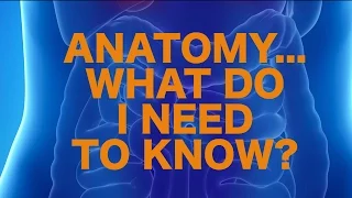Anatomy on USMLE -- What's High Yield?