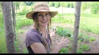 A Prepper's Garden- What I Planted and Why