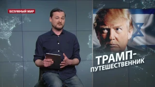 Безумный мир. Большое политическое путешествие Трампа