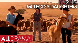 McLeod's Daughters | Hounded | S02 EP12 | All Drama