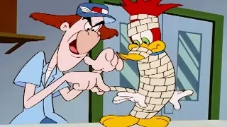 Woody Woodpecker | Signed, Sealed, Delivered | 1 Hour Compilation | Cartoons For Children