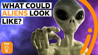 What would alien life actually look like? | BBC Ideas