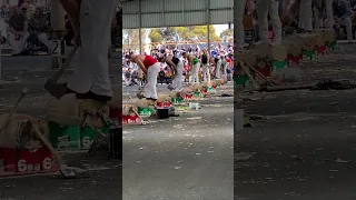 Woodchopping Final 300mm Underhand Championship Melbourne @amandabeams3354