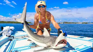 How To Catch Clean Cook Blacktip Shark!