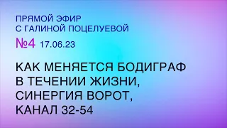 Галина Поцелуева в эфире 17.06 МЕНЯЕТСЯ ли БОДИГРАФ В ТЕЧЕНИИ ЖИЗНИ, СИНЕРГИЯ ВОРОТ, КАНАЛ 32-54