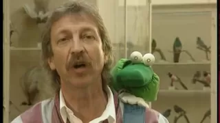 Henri Dès - l'escargot avec Albert Le Vert