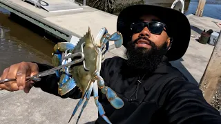 Crabbing A New Location!!! Caught Some Big Blue Crabs!!! North Florida Crabbing!!!