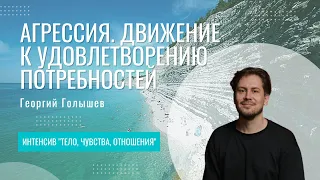 Агрессия. Движение к удовлетворению потребностей | Георгий Голышев