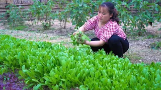 Harvest garden vegetables to sell at the market, Fertilize melon roots, Take the core of wild rattan