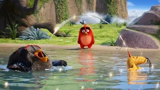The Angry Birds HD Movie Explained in Hindi/Urdu |  Film Summarized in हिन्दी/اردو Hindi Dubbed
